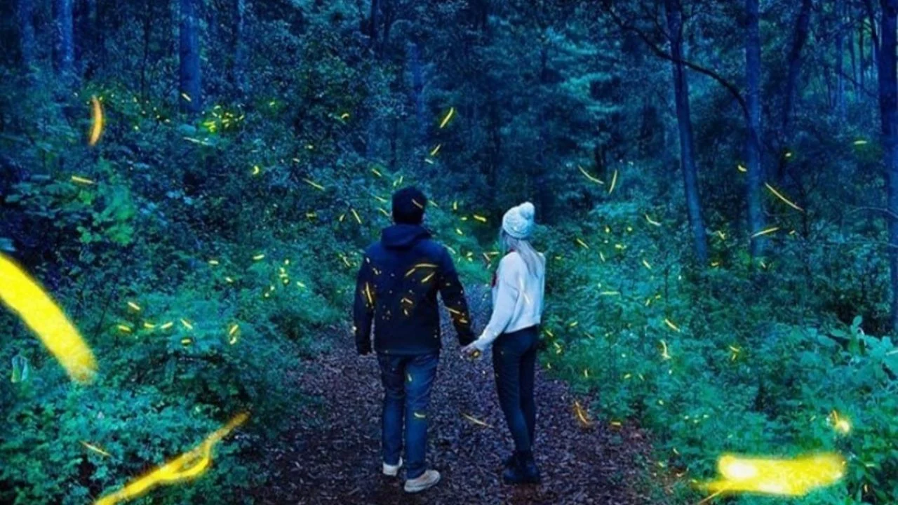 Volkswagen y la Universidad de Tennessee aceleran la colaboración en investigación » 2023