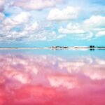 Lexus no fabricaba nada pequeño, hasta ahora, que presentó el nuevo LBX » 2023