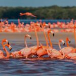 Los 5 Próximos Hoteles en México para el 2024 »