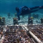 5 Lugares sacados de una película Disney que puedes visitar »