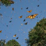 7 Destinos Favoritos de los Mexicanos dentro de su País »