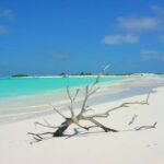 5 Experiencias de Viaje Más Extremas que Debes Probar Antes de Morir »