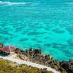 ¿Cuáles son los autos más futuristas del 2025? »