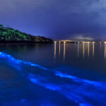 Países con las leyes más raras para turistas en el 2025 »