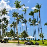 Los 5 mejores destinos para digital detox total en el 2026 »